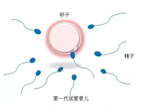 好孕故事